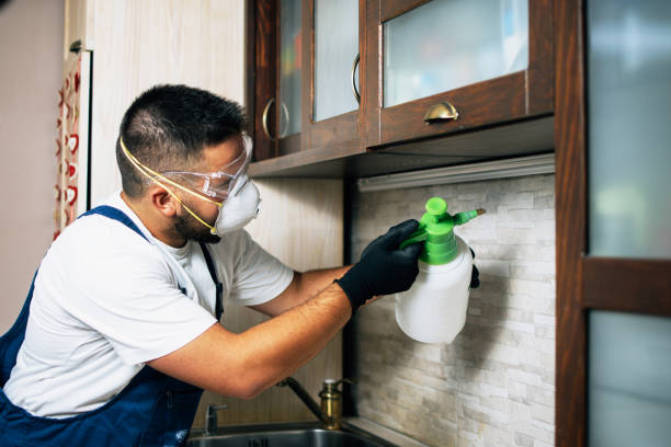 Best Pest Prevention Services  in Lewisport, KY