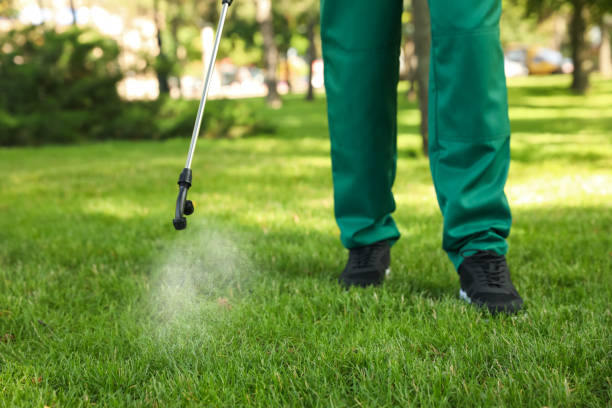 Best Pest Removal Services  in Lewisport, KY